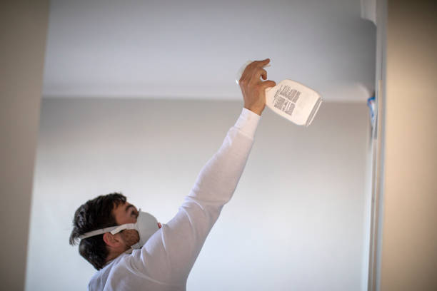 Best Fast Mold Removal  in West Richland, WA
