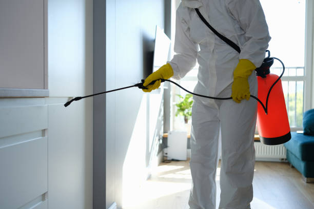 Best Residential Mold Removal  in West Richland, WA