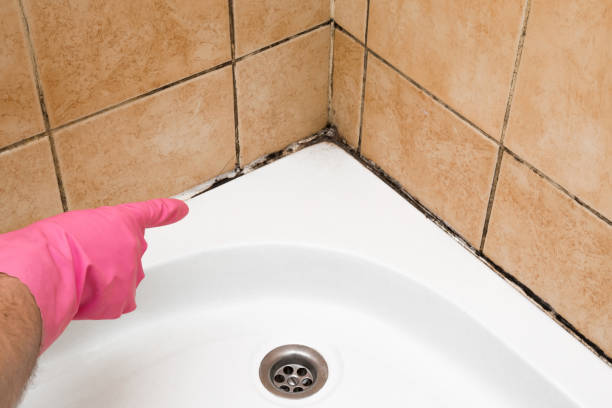 Best Crawl Space Mold Removal  in West Richland, WA